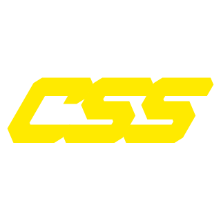 CSS logo